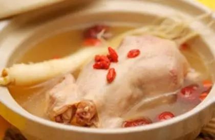 婴儿鹌鹑逃生