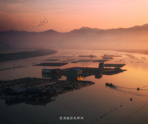 去春季约会