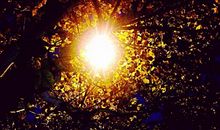 夜晚一盏路灯下的故事