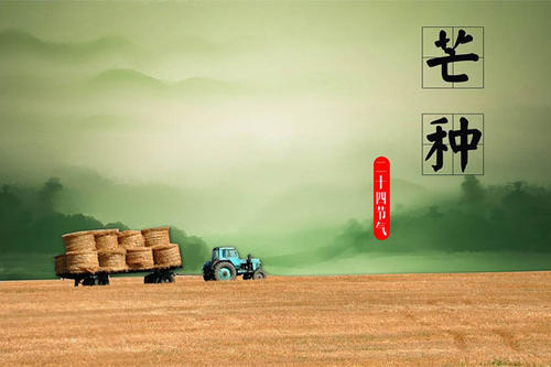 因为你，我学会了团结