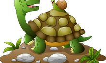 乌龟与蜗牛