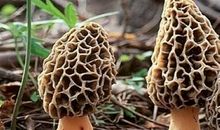 记忆深处的柔软与冷漠