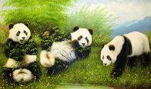 我最爱的大熊猫