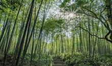 国庆六十七年——旧貌换新颜