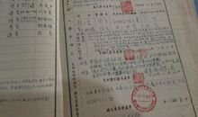 初中400字入团志愿书模板（一）