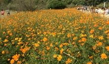 美丽的忠仑公园