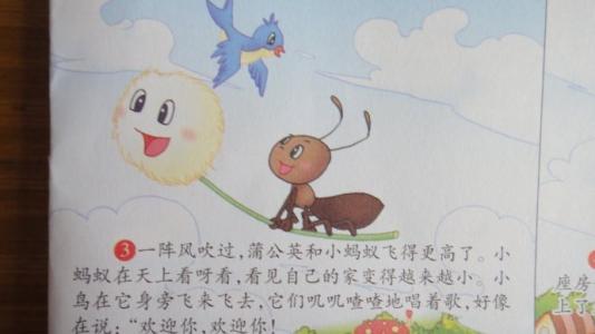 小蚂蚁运输食物