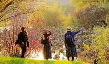 拥有友谊是一种快乐