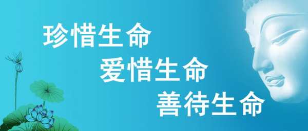 时间与生活