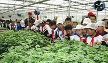 走进科学，亲近自然