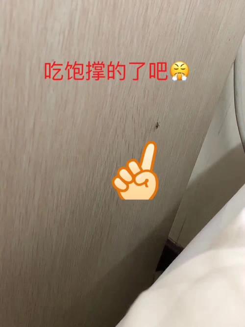 蚊子抓