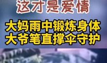 我家有只母老虎