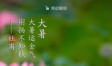 品味多姿多彩的人生