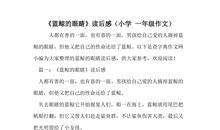 蓝鲸的眼睛读后感