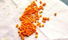 细嗅语文的味道