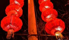 战胜疫情我们有信心