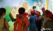 饲养小蜜蜂带给我快乐