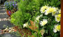 我发现了春天的美