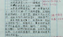 写一篇小小动物园300字作文