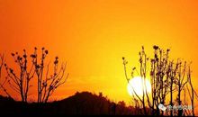 改写现代诗夕阳