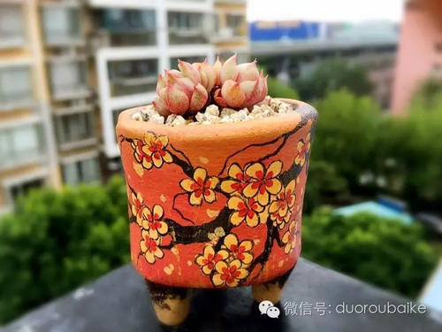 奔向梦想