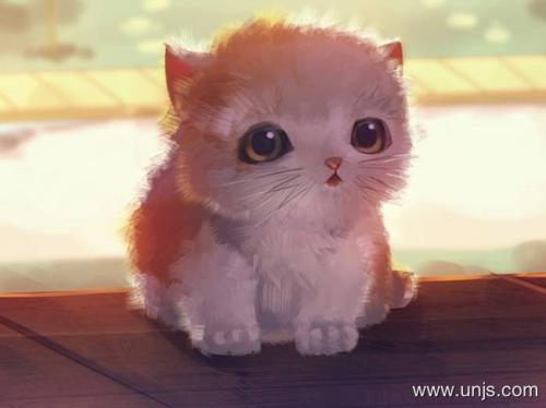 小猫描述