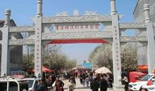 一百年后的家乡