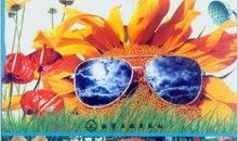 一次神奇的科学之行