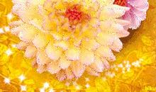 跑过每一个暖阳