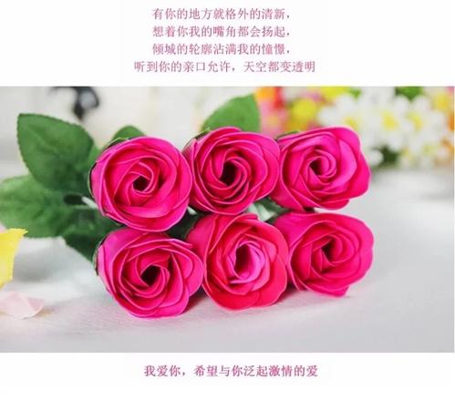 太阳在这里