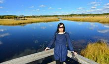 我多想你不变老