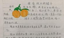 我爱家乡的橘子
