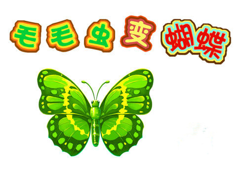 毛虫到蝴蝶的距离