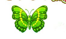 从毛毛虫到蝴蝶的距离