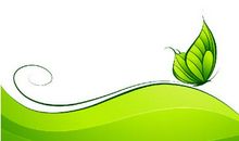 酸甜苦辣话成长