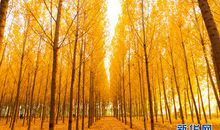 那双手温暖如春