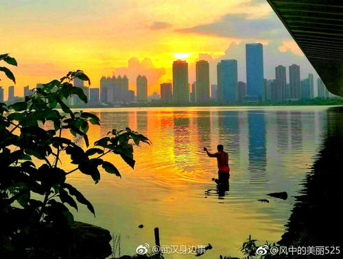 另一种武汉