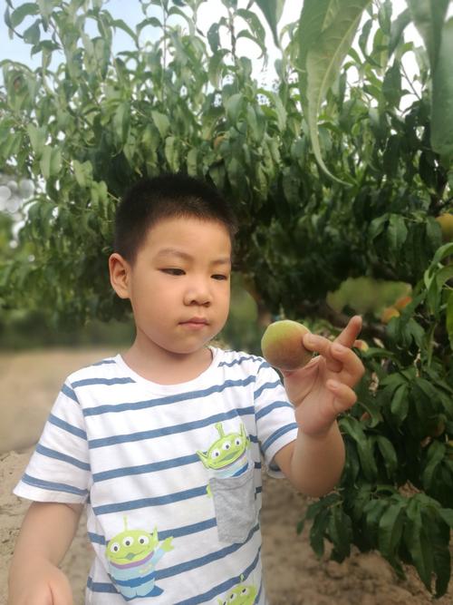 我的小顽皮