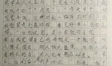 荷花第二自然段仿写