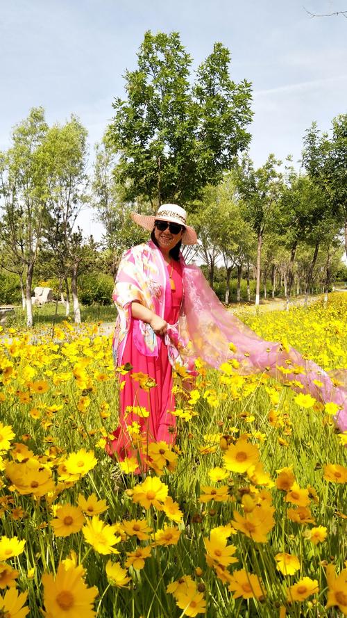 角落里的花