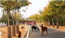 济南野生动物园