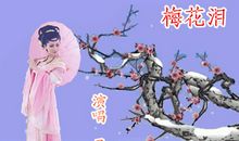 梅花的鼓舞