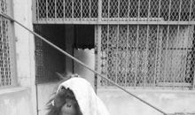 那一次调皮地尝试