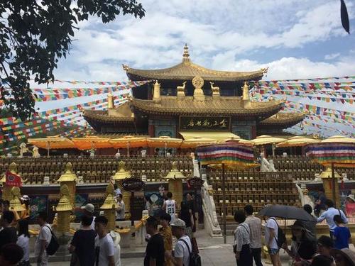 我怀着感恩的心踏上旅途