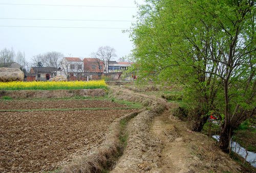 乡村春天