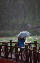 雨中的记忆