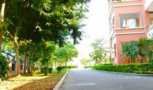 校园里的那个角落