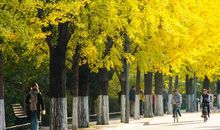 秋天是个好季节