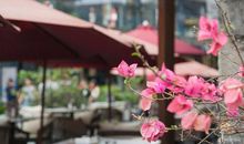 忍不住追赶你的脚步