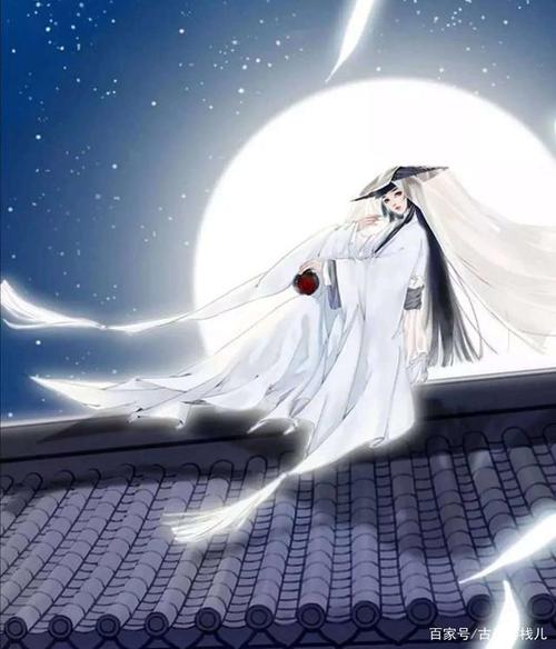 夏日之夜的乐趣